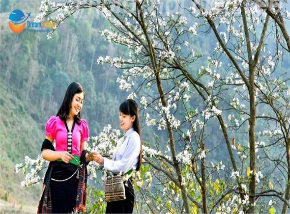 Tour du lịch Điện Biên Mùa Hoa Ban - Đang mùa đẹp nhất